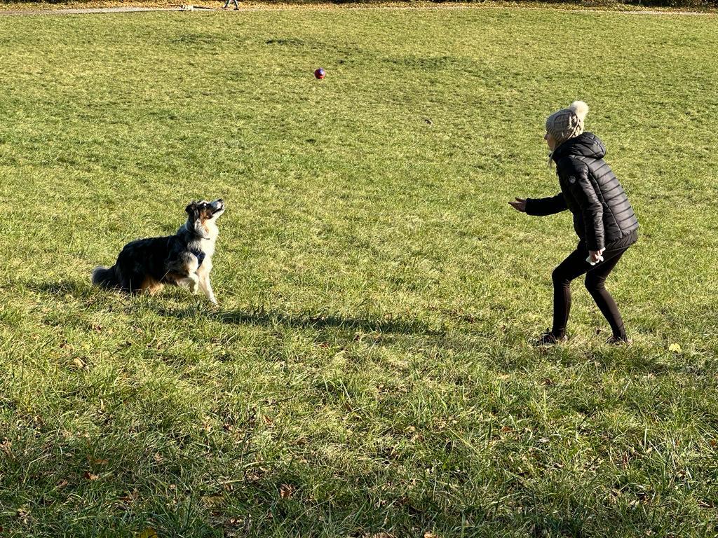 À propos de Ma Nounou Pets